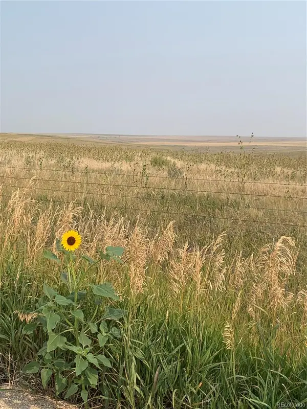 39115 County Road 166, Agate, CO 80101