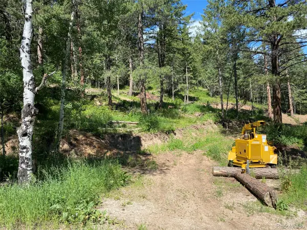 11683 S Maxwell Hill RD, Littleton, CO 80127