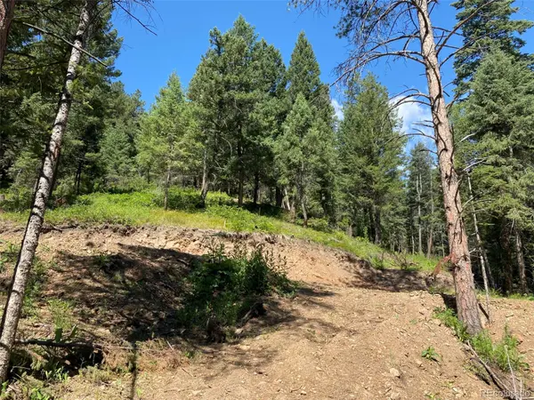 11683 S Maxwell Hill RD, Littleton, CO 80127