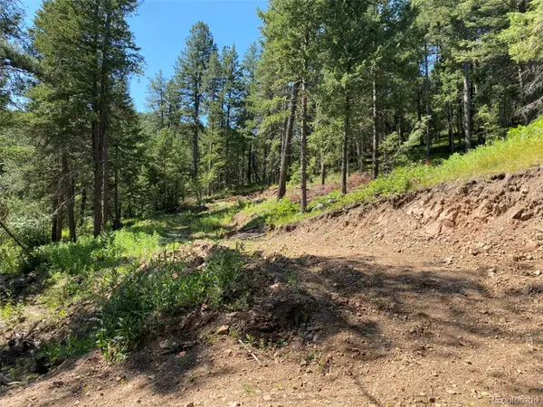 11683 S Maxwell Hill RD, Littleton, CO 80127