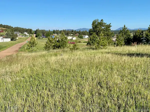 90 Golden Grain LN, Divide, CO 80814