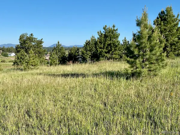 90 Golden Grain LN, Divide, CO 80814