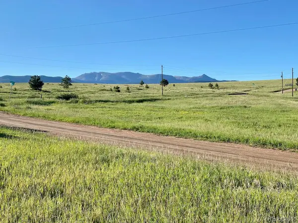 90 Golden Grain LN, Divide, CO 80814