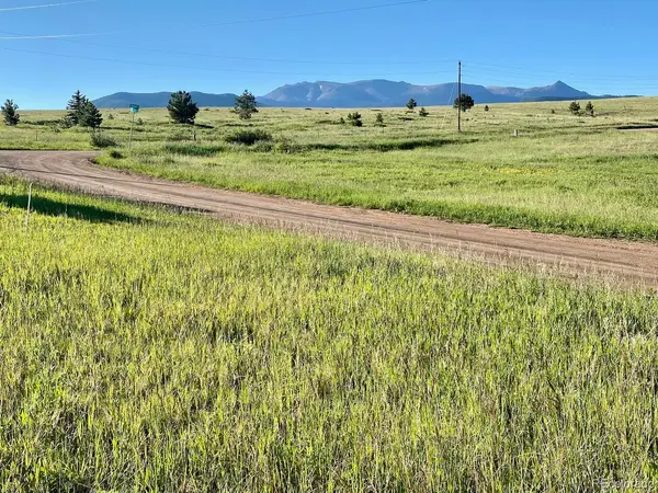 90 Golden Grain LN,  Divide,  CO 80814
