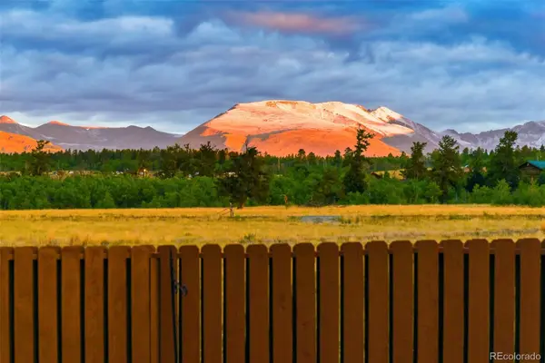 119 Bristlecone LN, Fairplay, CO 80440