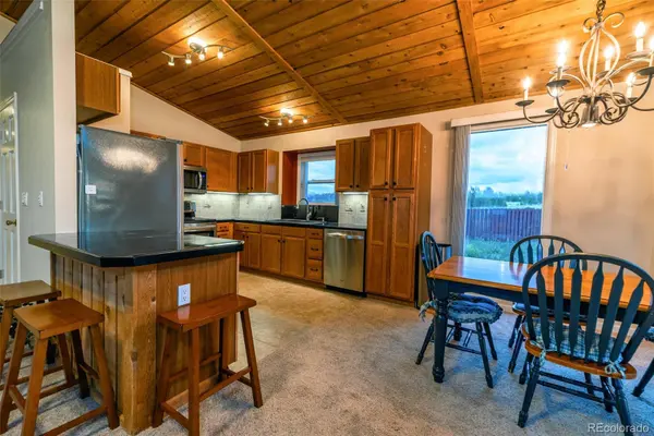 119 Bristlecone LN, Fairplay, CO 80440