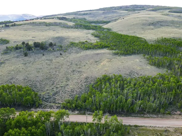 Co Road 5, Fairplay, CO 80440