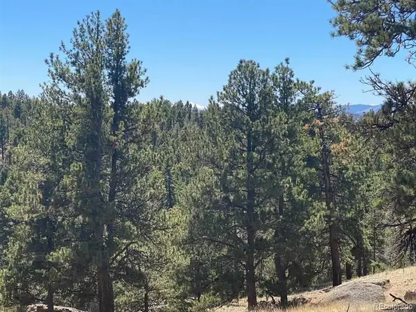 12 S Insmont CIR, Florissant, CO 80816