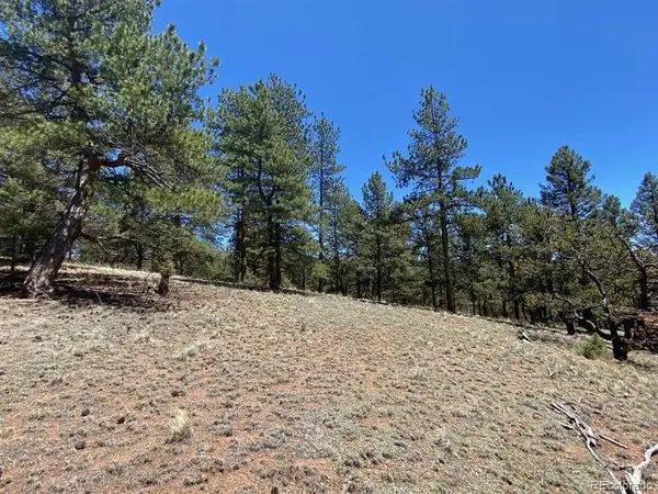 12 S Insmont CIR, Florissant, CO 80816