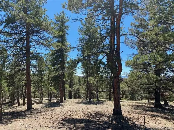 12 S Insmont CIR, Florissant, CO 80816