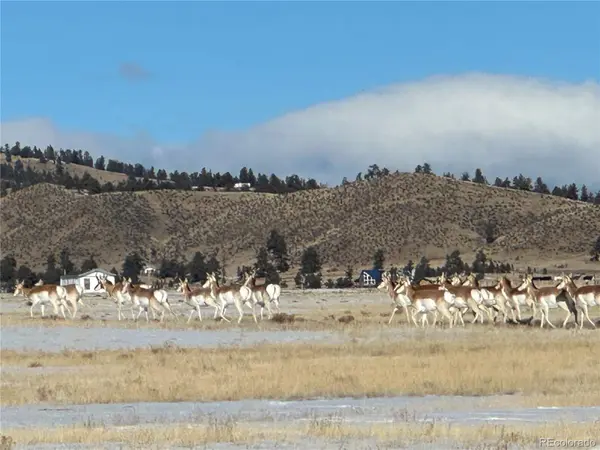 4862 Larimer RD, Hartsel, CO 80449