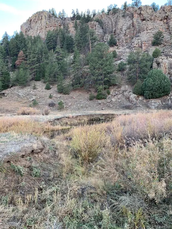 1840 Lakemoor DR, Florissant, CO 80816