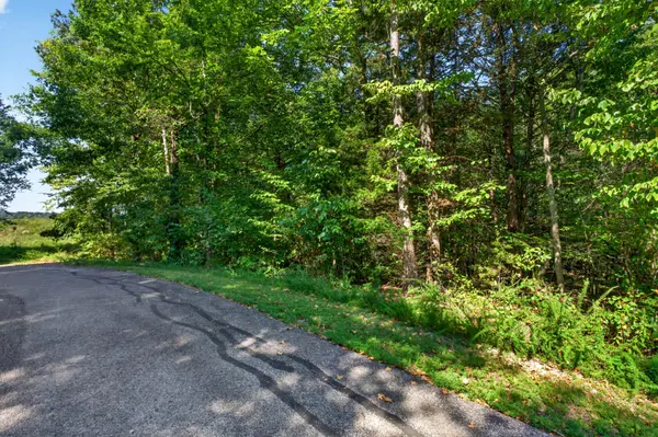 0 Glenalbyn Pass, Sparta, TN 38583