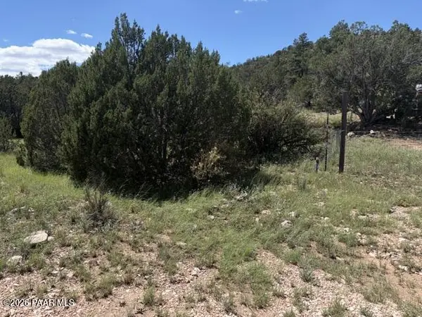 52714 N Calle Campo, Seligman, AZ 86337