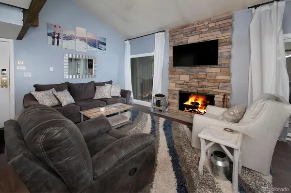 393 Wild Irishman RD #1069, Keystone, CO 80435