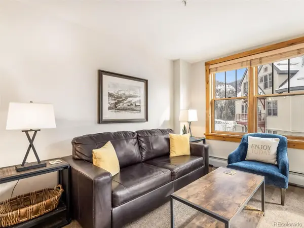 100 Dercum SQ #8388, Dillon, CO 80435