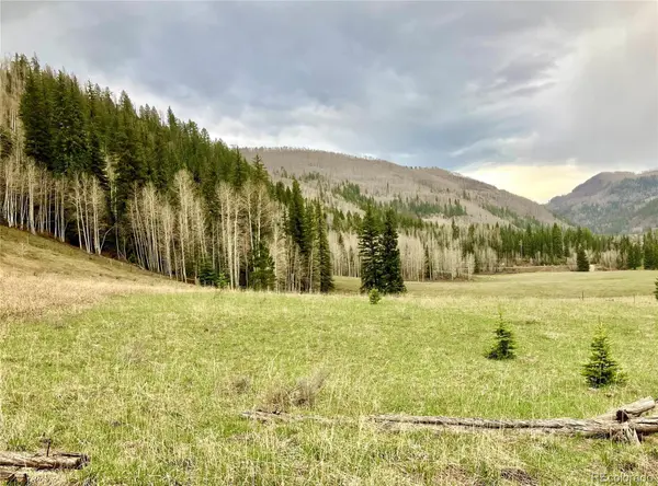 Blue Spruce GLN,  Dolores,  CO 81323