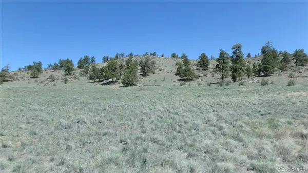 185 Campfire RD, Hartsel, CO 80449