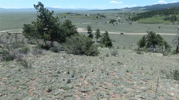 185 Campfire RD, Hartsel, CO 80449