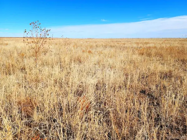 TBD County Road, Ramah, CO 80832