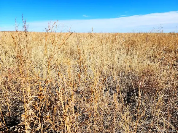 TBD County Road, Ramah, CO 80832