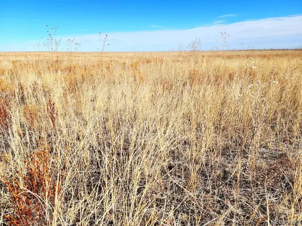 TBD County Road, Ramah, CO 80832