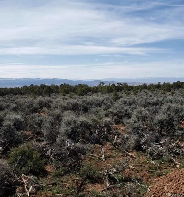 29694 P 50 RD, Hotchkiss, CO 81419