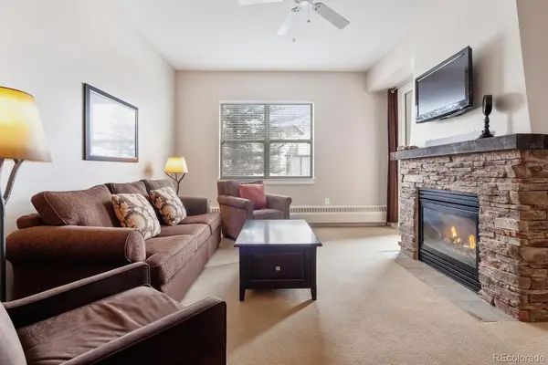300 Base Camp CIR #113, Granby, CO 80446