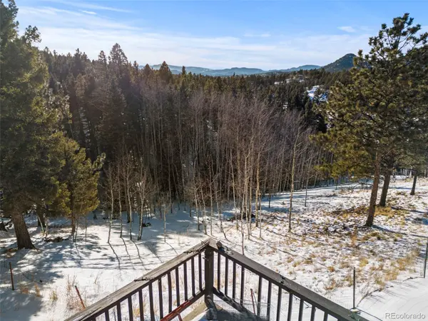 371 Rangeview RD, Divide, CO 80814