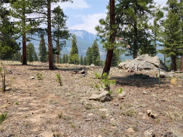 30634 Timberline, Buena Vista, CO 81211