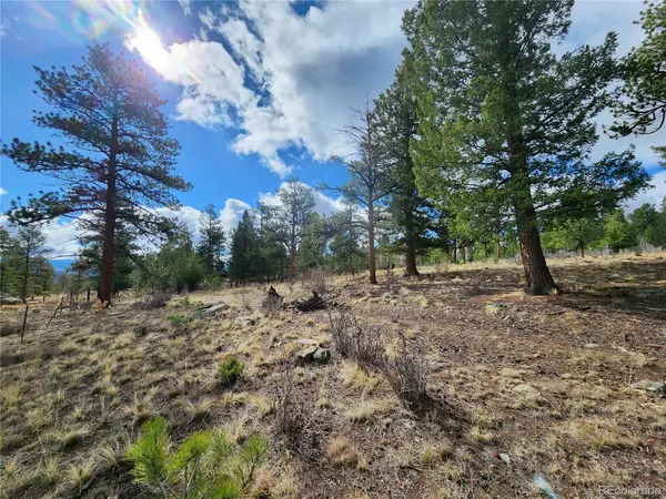 30634 Timberline, Buena Vista, CO 81211