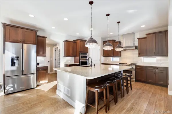 16255 Thunder Cat WAY, Monument, CO 80132