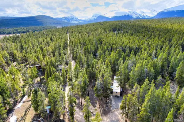 111 Pine ST,  Alma,  CO 80420