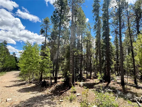 182 Willow LN, Alma, CO 80420