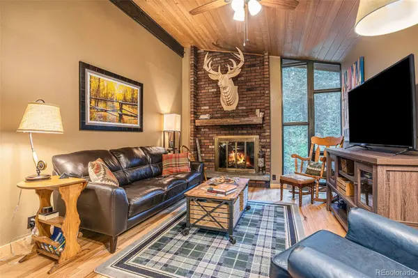 72 Columbine DR, Dumont, CO 80436