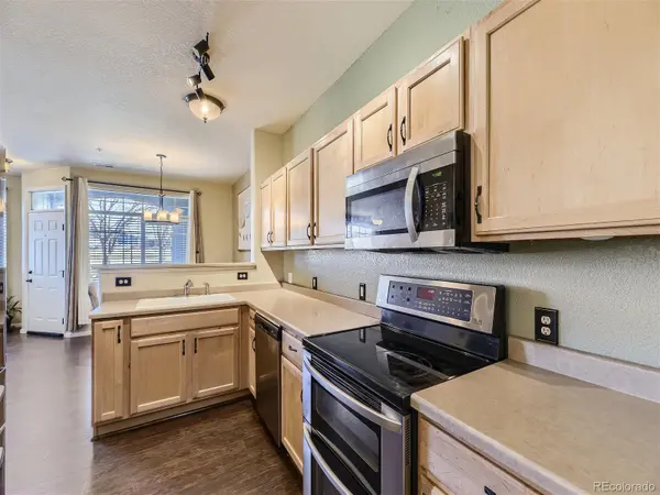 488 Black Feather LOOP #208, Castle Rock, CO 80104