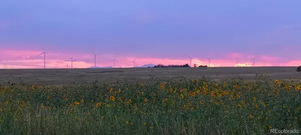 8990 Mulberry RD, Calhan, CO 80808