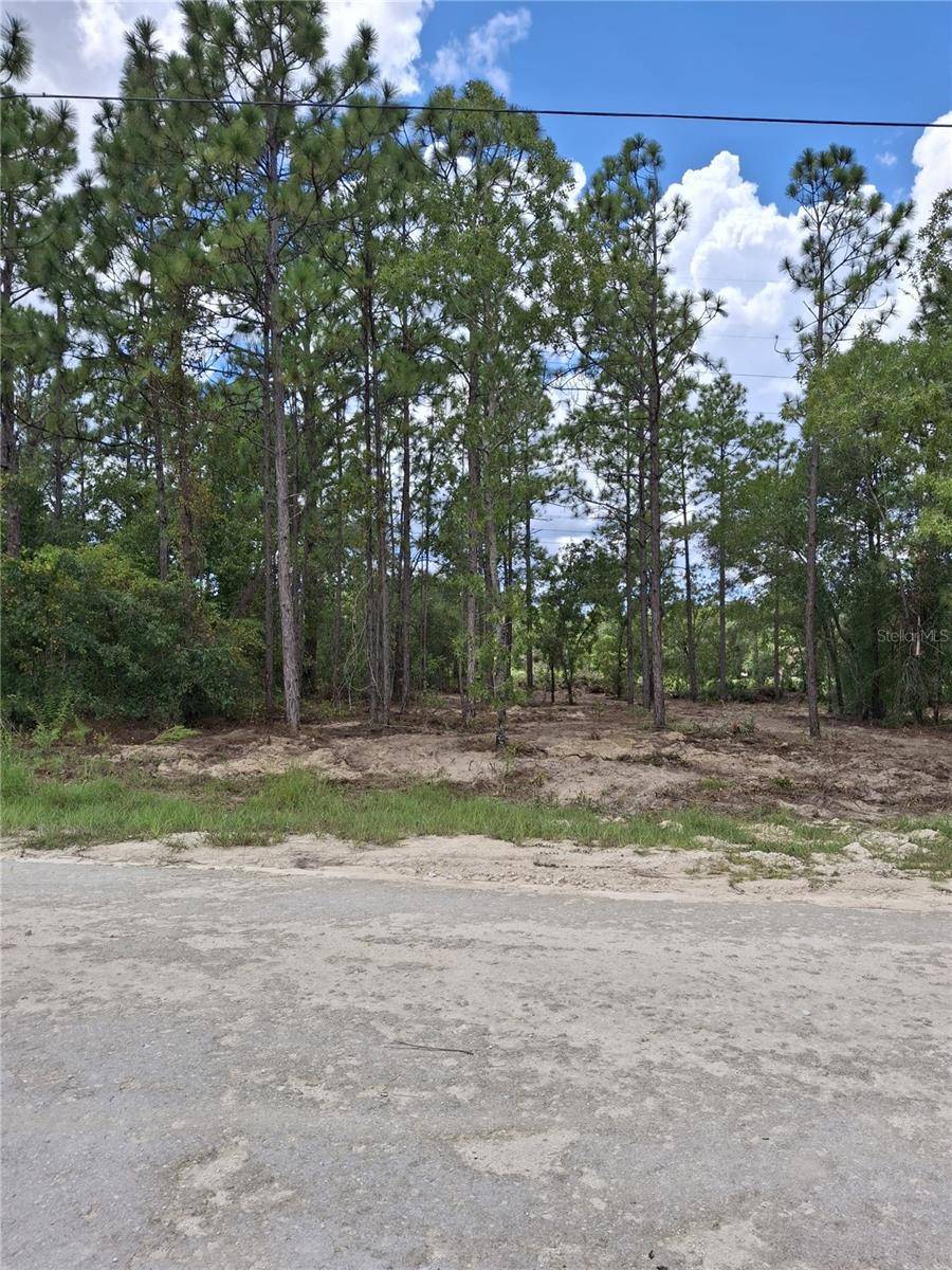 14167 CONDOR RD, Weeki Wachee