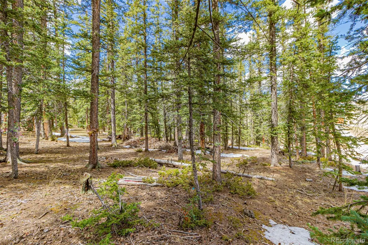 402 Silvermoon HTS, Divide, CO 80814
