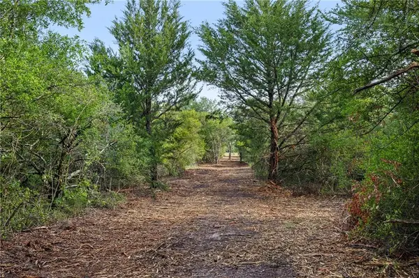5163 County Road 358 RD, Gause, TX 77857