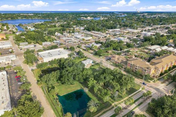 112 E MARTIN LUTHER KING JR DR, Tarpon Springs, FL, 34689 photo 36