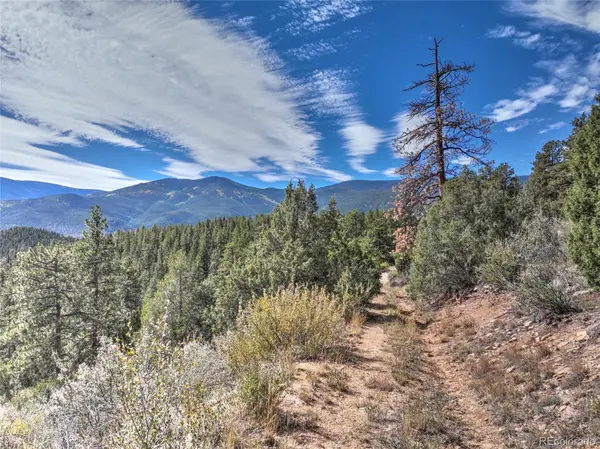 1913 S Ridge RD, Bailey, CO 80421