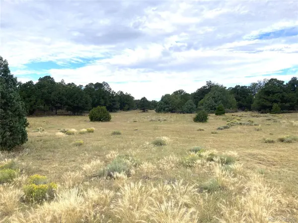 TBD TR 18 Fox Fire Trail, Cotopaxi, CO 81223