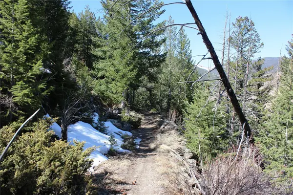 5404 Silver Creek TRL, Georgetown, CO 80444