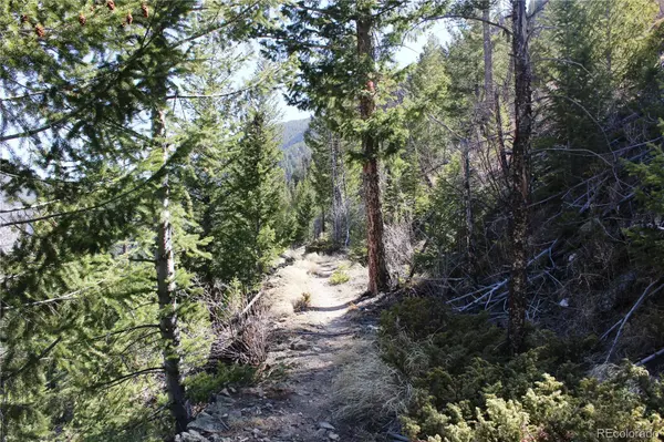 5404 Silver Creek TRL, Georgetown, CO 80444