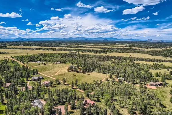 303 Pinaceae HTS, Divide, CO 80814