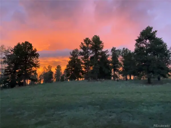 303 Pinaceae HTS, Divide, CO 80814