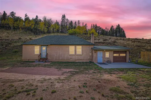 20909 State Highway 67, Divide, CO 80814