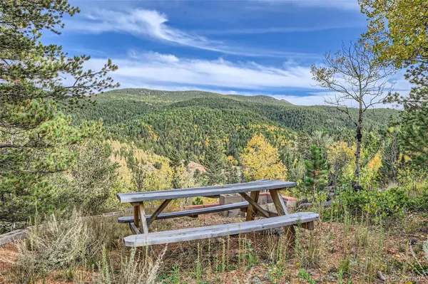 20909 State Highway 67, Divide, CO 80814