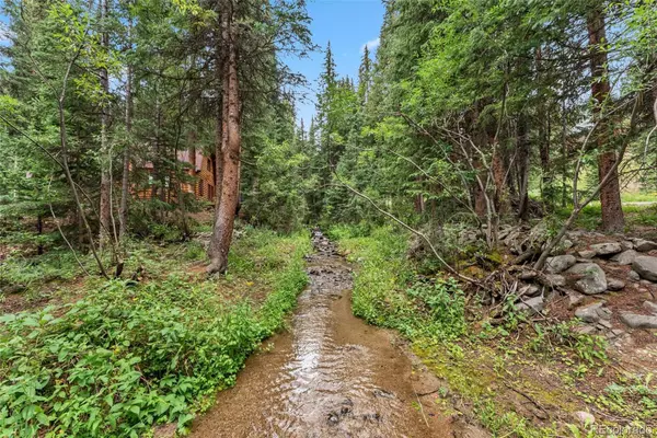 0507 CR 674, Breckenridge, CO 80424